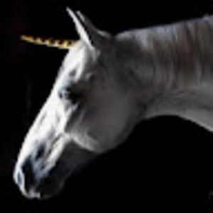 Meet your Posher, Steph